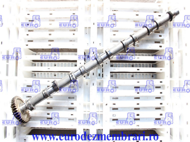 AX CU CAME MAN TGX D26 51.04401.5089, 51.04401.1023, 51.04401.5127, 51.04401.5164 - Bregasta osovina za Kamion: slika 1 AX CU CAME MAN TGX D26 51.04401.5089, 51.04401.1023, 51.04401.5127, 51.04401.5164 - Bregasta osovina za Kamion: slika 1