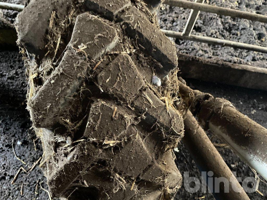 Överum - Plug: slika 5 Överum - Plug: slika 5